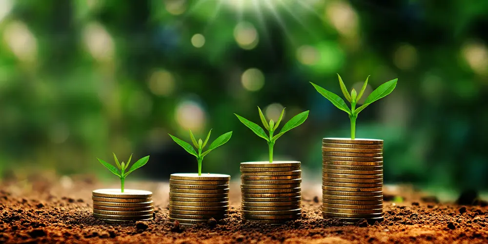 money growing out of soil on coins lifetime income concept
